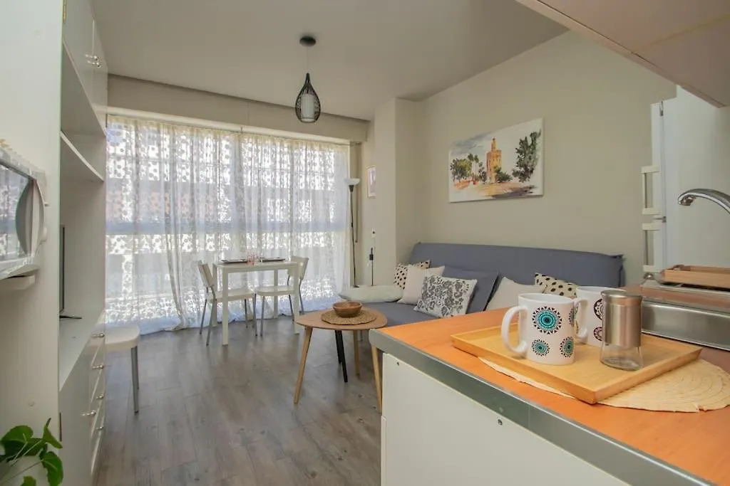 Apartment Apart Muy Centrico, Tranquilo Y Confortable **A/C-Wifi** Seville Spain